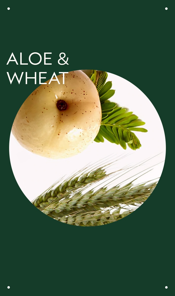 volumizing tonic™ volume styling spray, 1.4 fl oz/40 ml - travel size