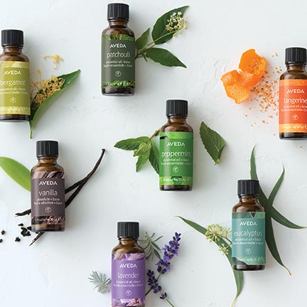 Living Aveda - Wellness Landing Page | United States E-commerce Site ...