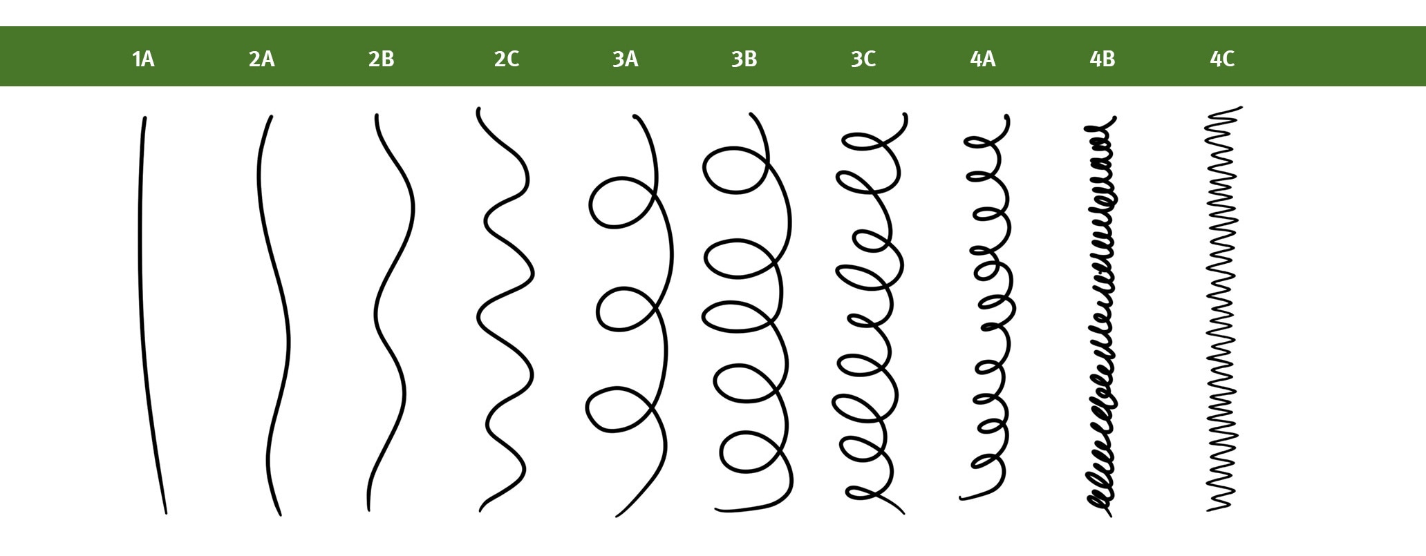 Hair chart 