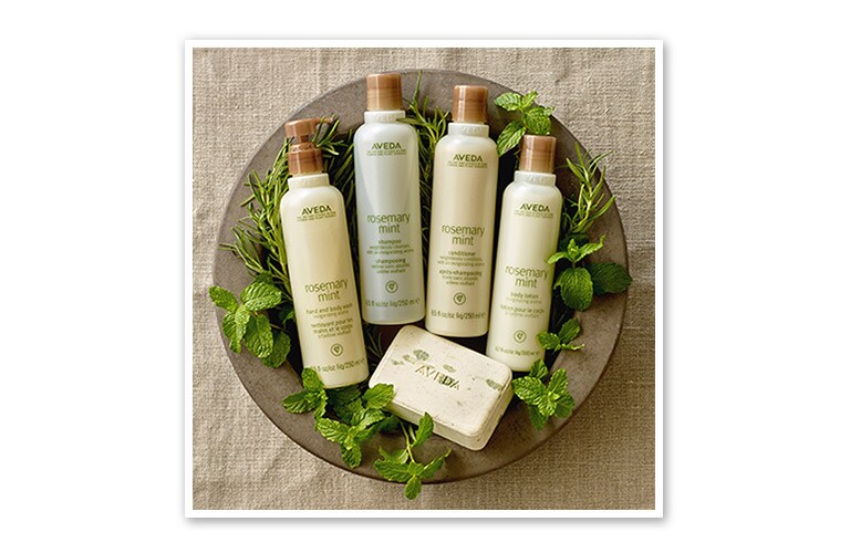 Natural Hair Products, Shampoos, Conditioners & Salons | Aveda