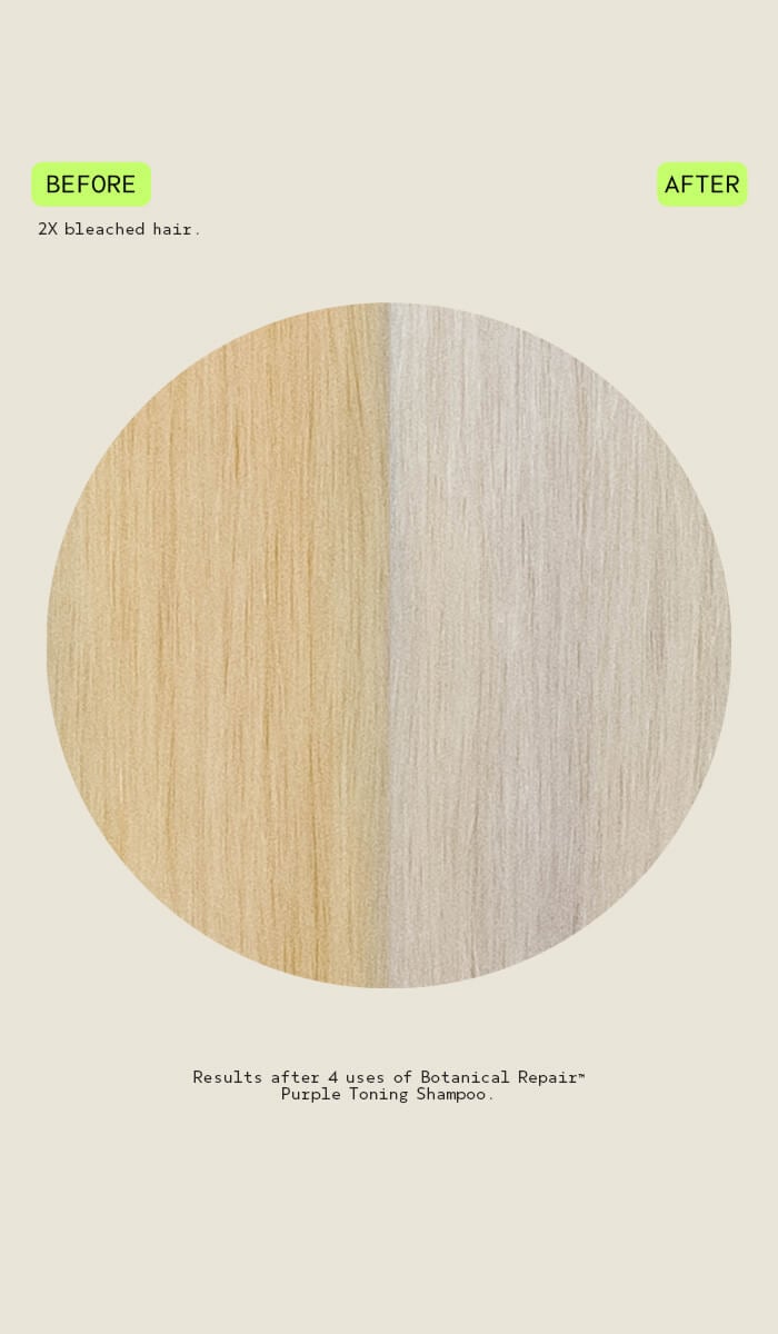 botanical repair<span class="trade">™</span> purple toning shampoo, 6.7 fl oz/200 ml