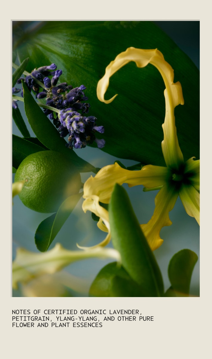 Tousle Texture Dry Texture Spray, 3.6 oz/102 g