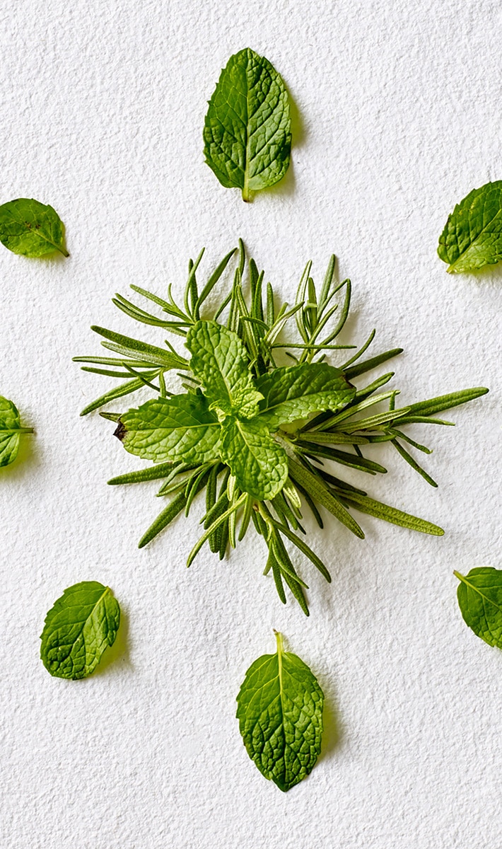 rosemary mint hand and body wash