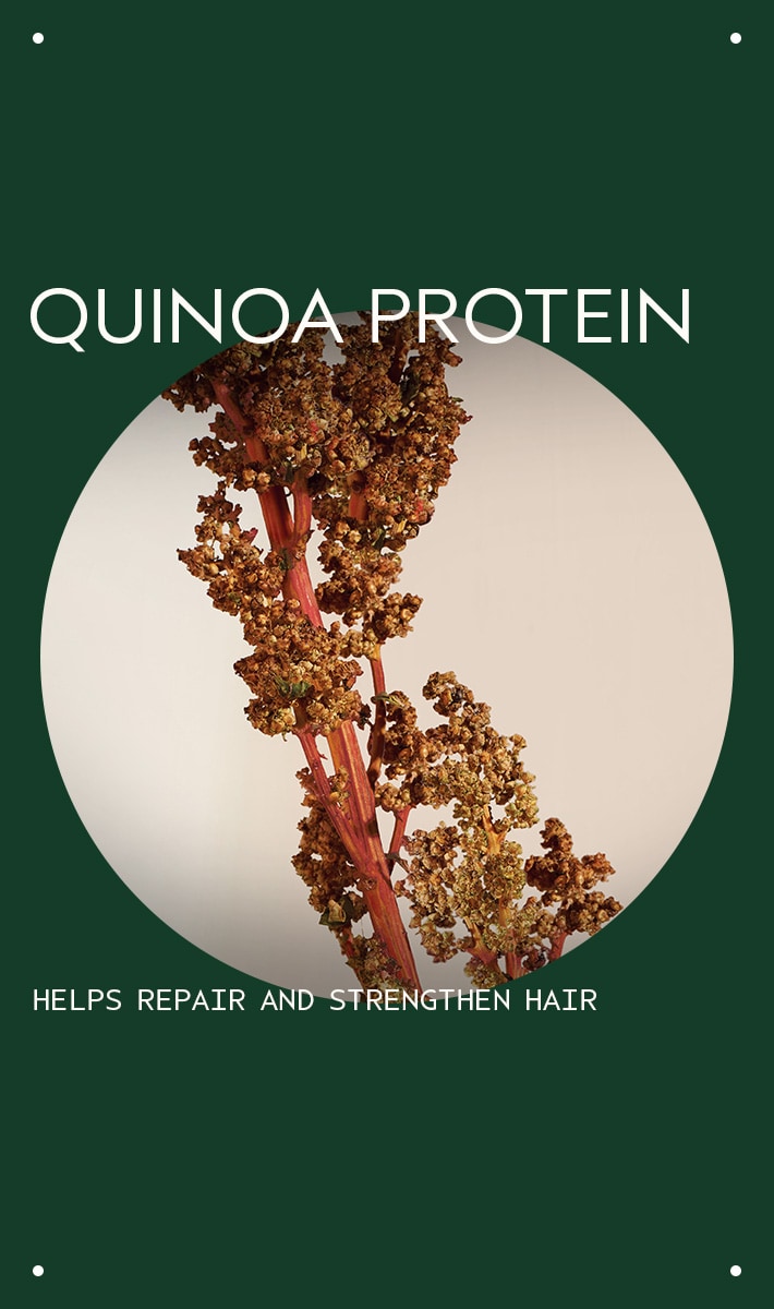 damage remedy<span class="trade">™</span> restructuring conditioner, 6.7 fl oz/200 ml