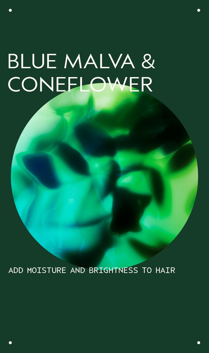 blue malva color shampoo for silver and blonde tones, 33.8 fl oz/1 liter