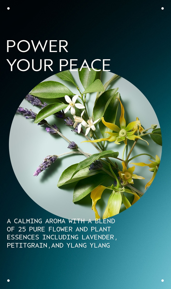 heat relief<span class="trade">™</span> thermal protector & conditioning mist, 3.4 fl oz/100 ml